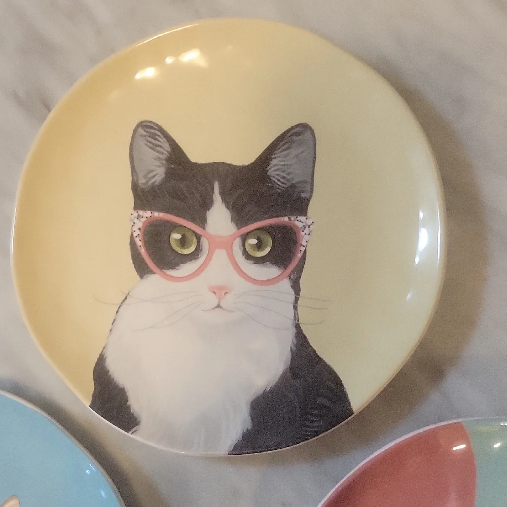 Pier 1 Set Of 3 Ironstone Party Cat Salad Plates